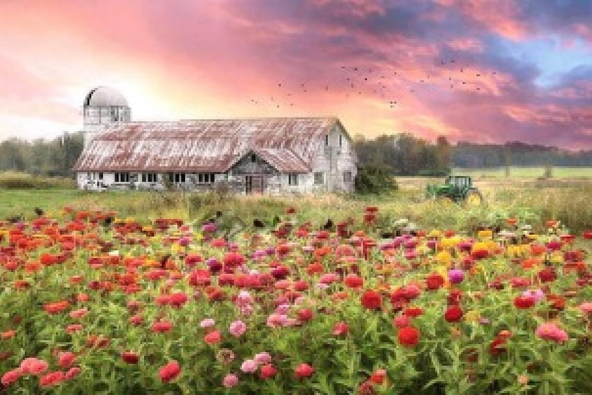 Върмонт Blossoms, хамбари, графика, атракции в сънищата, страна, любов четири сезона, селски, полета, ферми, цветя HD тапет