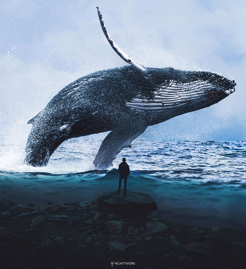 シロナガスクジラ HD電話の壁紙