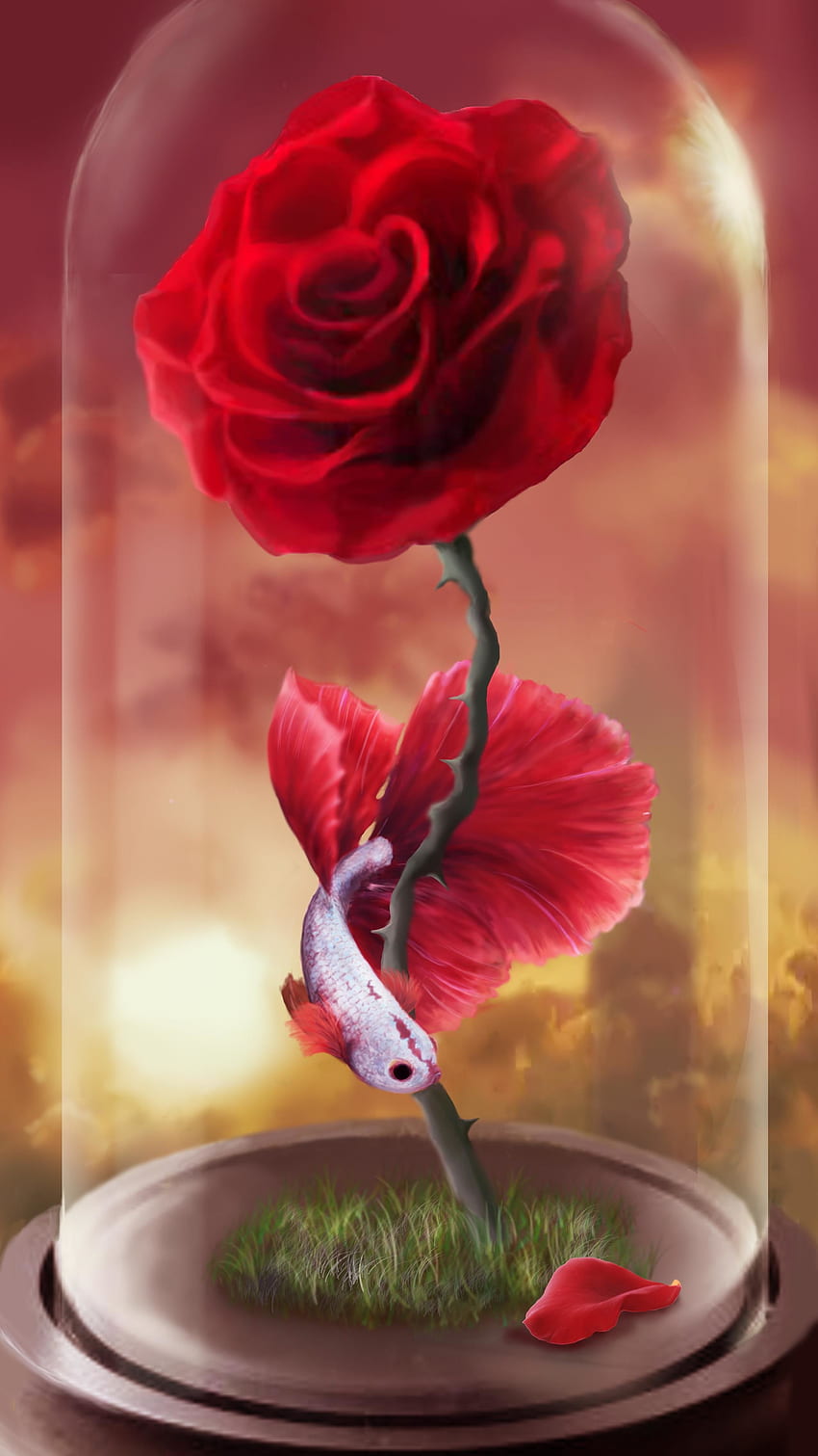 Art, Flower, Rose Flower, Rose, Fish HD phone wallpaper