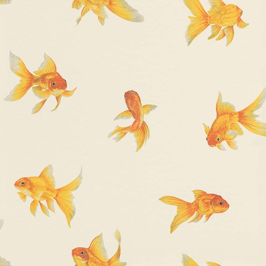 Goldfisch weiß orange Glanz Rasch Textil 289465 HD-Handy-Hintergrundbild