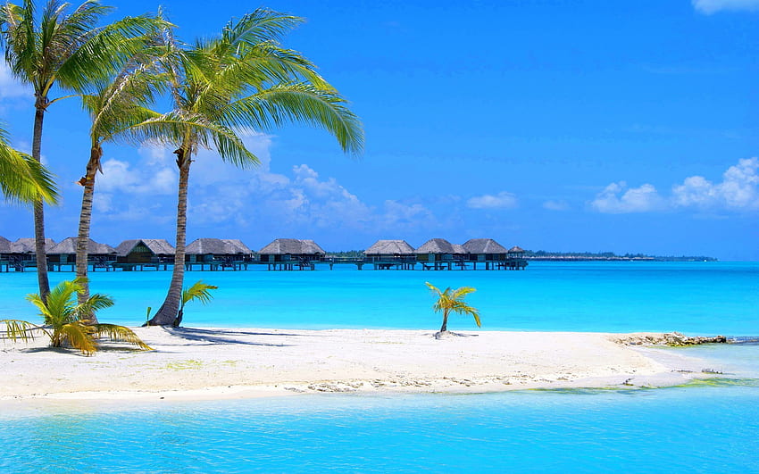 Maldivler adasındaki tropikal ada Palmiye ağaçları kumlu plajlar turkuaz temiz su bungalovları HD duvar kağıdı