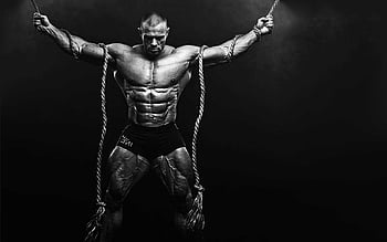 Bodybuilding . Beast Bodybuilding , Bodybuilding and Bodybuilding Motivation,  Beast Gym HD wallpaper | Pxfuel