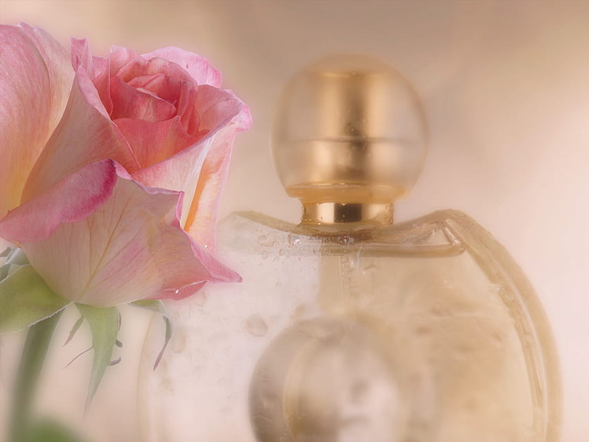 Fragrance of Love, sweet, rose, pink, green, perfume bottle, fragrance HD wallpaper
