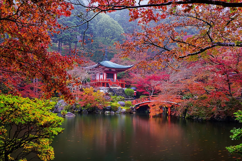 Sonbahar-Japon-Bahçesi, Japon, Doğa, Sonbahar, Bahçe HD duvar kağıdı