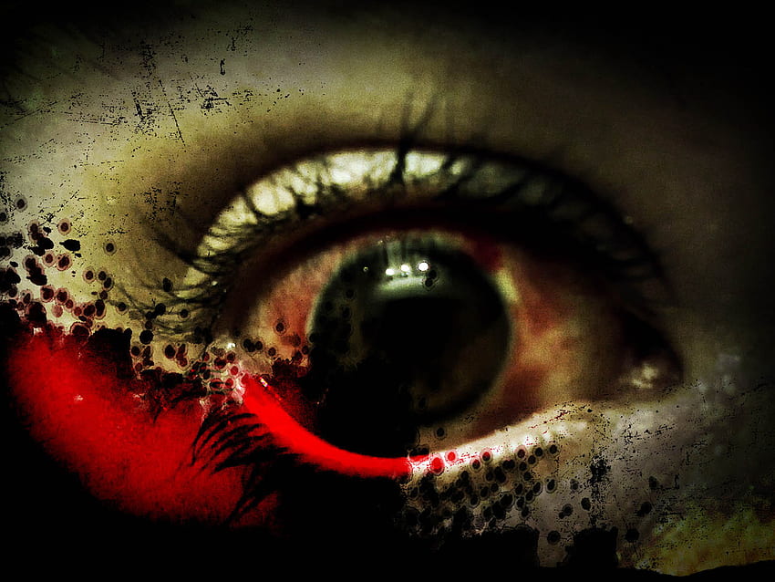 the Horror Eye Horror Eye Horror [] for your , Mobile & Tablet. Explore Horror Background. Scary Halloween , Scary , American Horror Story HD wallpaper