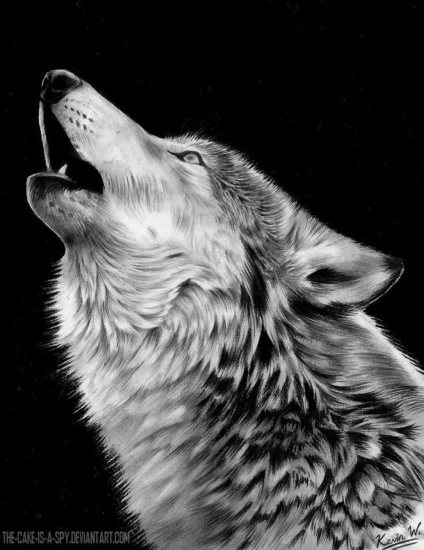 Howling Wolf Drawing Black and white  How to Draw Wolf Howling at the Moon  Drawing Night Scenery  YouTube