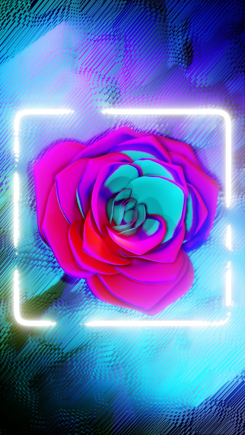 Glowing Pink Roses, Blue and Pink Rose HD phone wallpaper