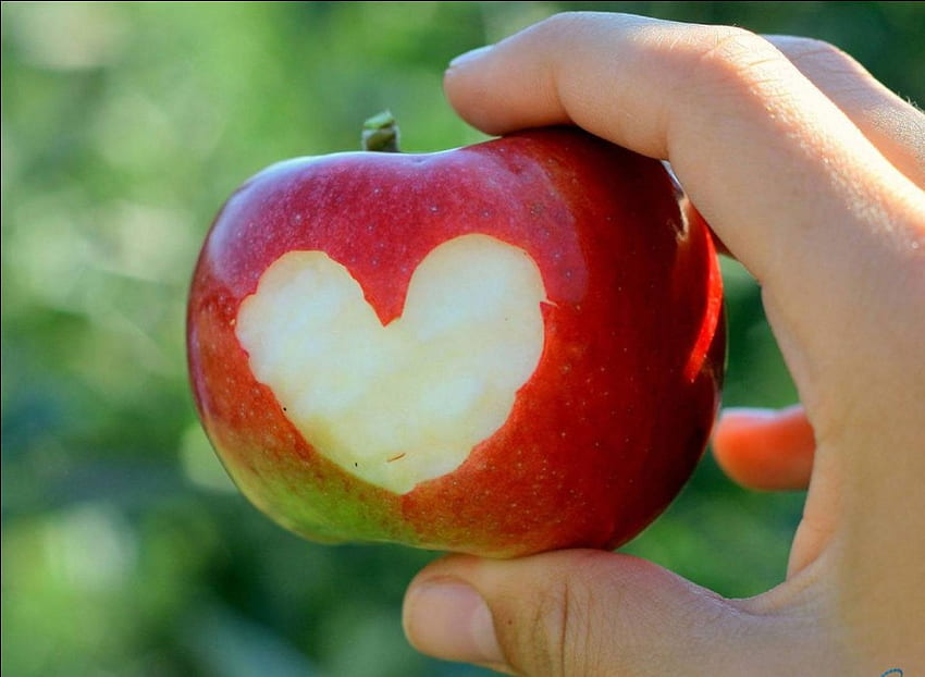 coração, maçã, amor papel de parede HD