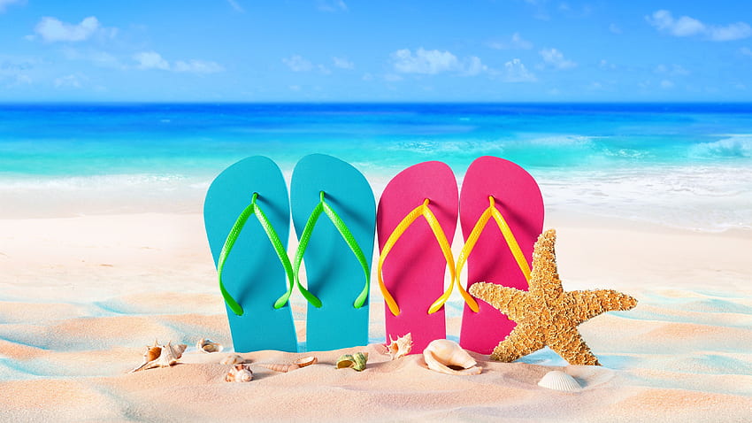 Blue and pink slippers, starfish, seashell, sea, beach U HD wallpaper