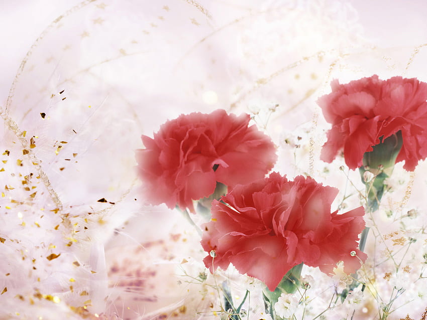 Pink Carnations, carnations, florals, colours, ruffles, spring, pink, pretty, petals, cuts, flowers HD wallpaper