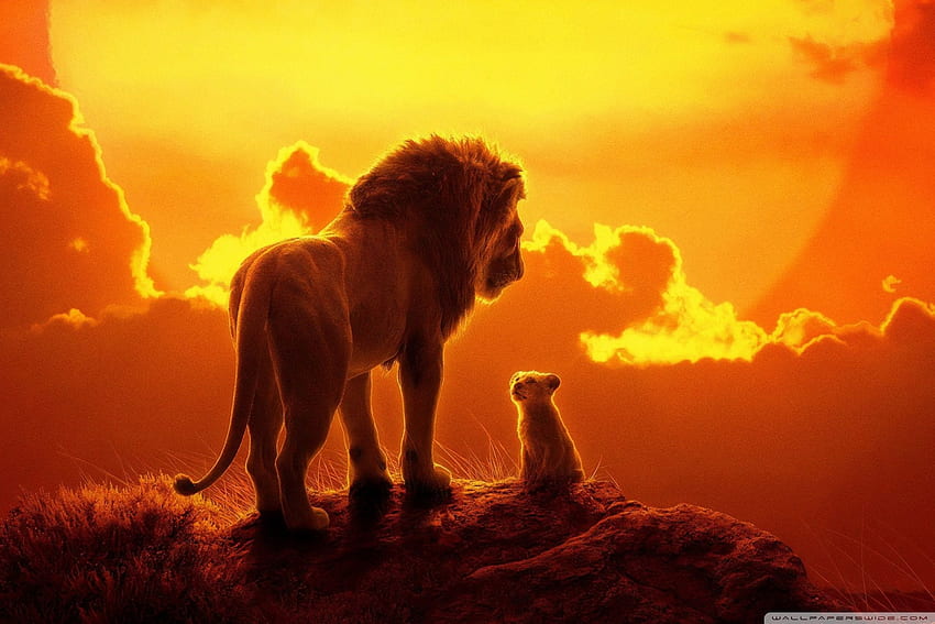 Der König der Löwen 2019 Ultra Hintergrund für Brave Lion HD-Hintergrundbild