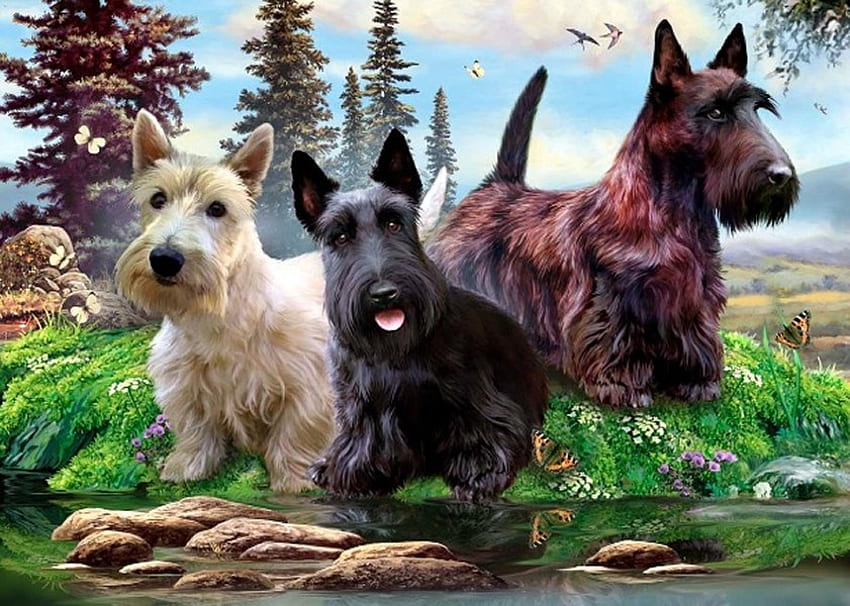 Por Howard Robinson, animal, perro, cachorro, schnauzer, pintura, arte, howard robinson fondo de pantalla