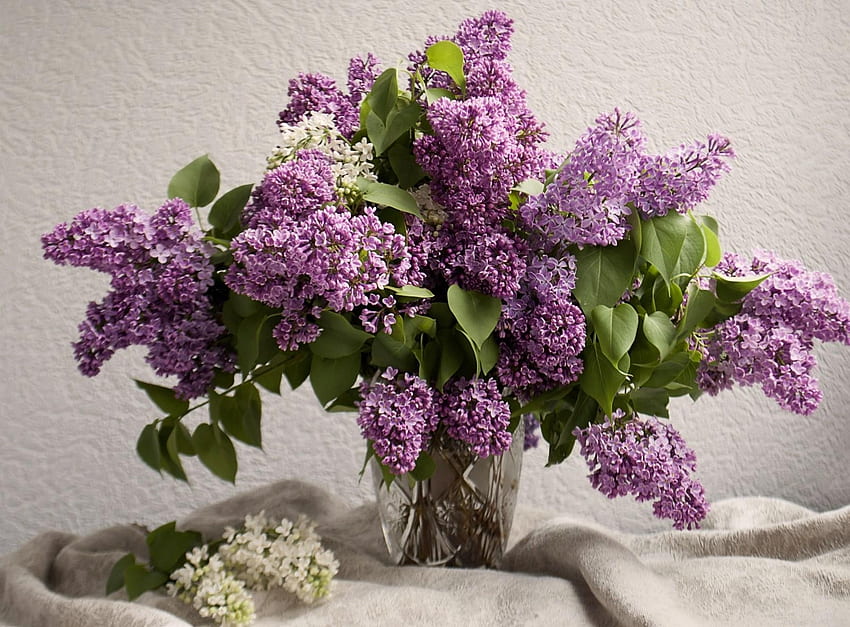 Flowers, Lilac, Bouquet, Vase, Spring, Mood HD wallpaper
