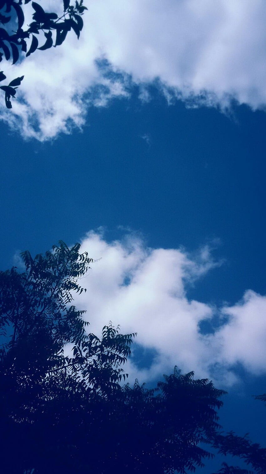 Hình nền mây xanh dương đẹp mắt sẽ khiến bạn xuýt xoa trước vẻ đẹp của thiên nhiên. Cảm giác yên bình và trầm lắng tràn ngập từ bức ảnh này sẽ giúp bạn đạt được sự tập trung cao nhất cho công việc. Không bao giờ là quá muộn để tải ngay và thưởng thức bức tranh thiên nhiên đậm chất nghệ thuật này.
