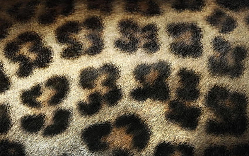 Леопардова козина, козина, леопард, абстрактно, текстура, петна, модел HD тапет