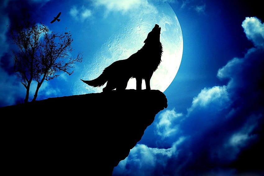Wolf Full Moon, Over The Moon For You HD тапет