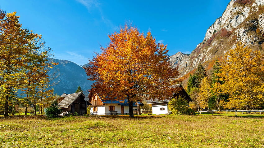 Autumn in Slovenia, fall, autumn, beautiful, sky, houses, Slovenia, village, mountain, tree HD wallpaper