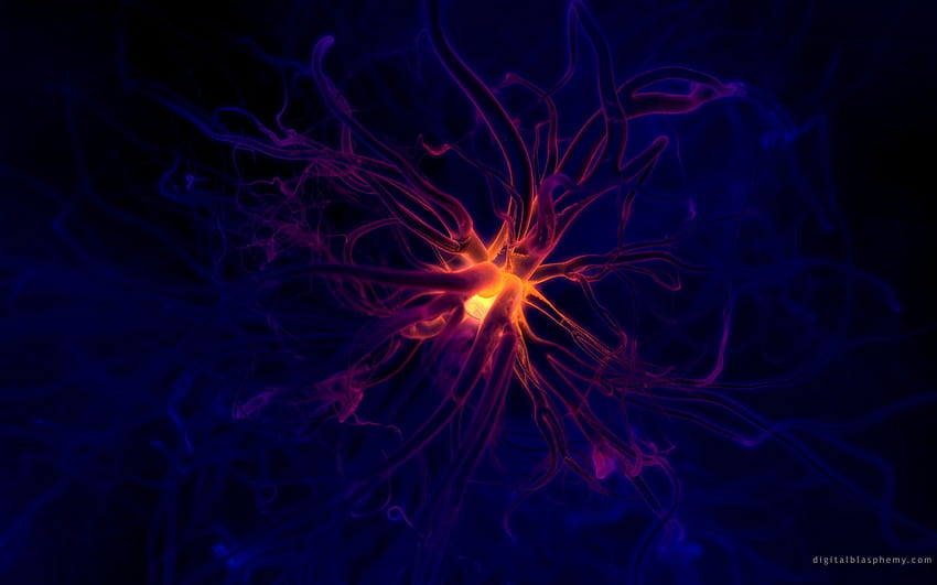 神経学の背景。 神経学、神経学の背景と神経学のパワーポイントの背景 高画質の壁紙