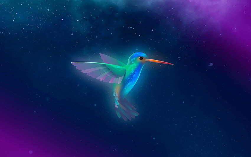 Bionic Beaver, Bird, Starry sky, Purple, Blue, Lubuntu HD wallpaper