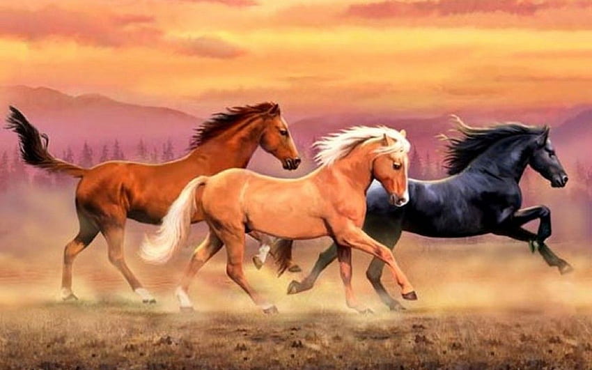 Mountains Wild Horses Dust - Wild Horses In Mountain HD wallpaper