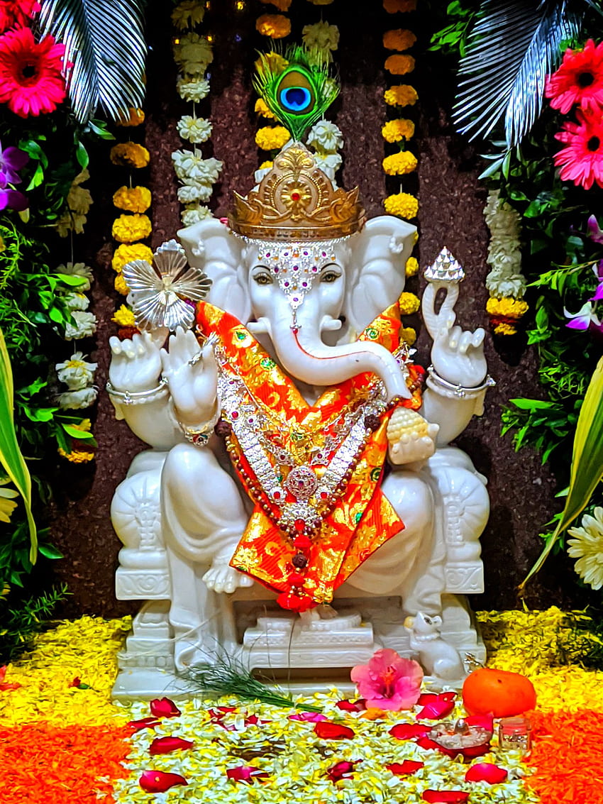 Siddhivinayak, Ganesh, Bappa, god HD phone wallpaper | Pxfuel
