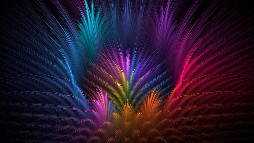 Abstract, Feather, Flower, Beams, Rays, Petals, Lines, Symmetry, Volume HD wallpaper