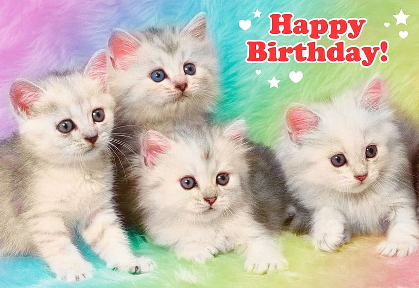 Happy Birtay!, pisica, animal, kitten, birtay, cute, card, cat HD wallpaper