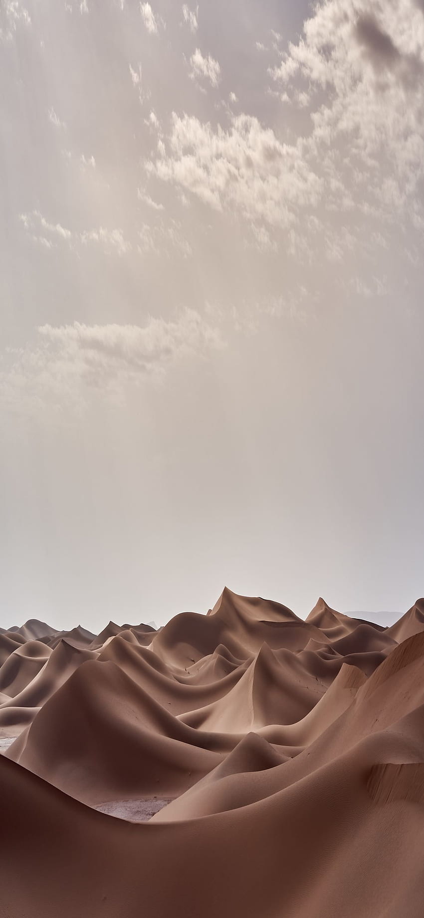 Ästhetische weiße Landschaft, braun und weiß HD-Handy-Hintergrundbild