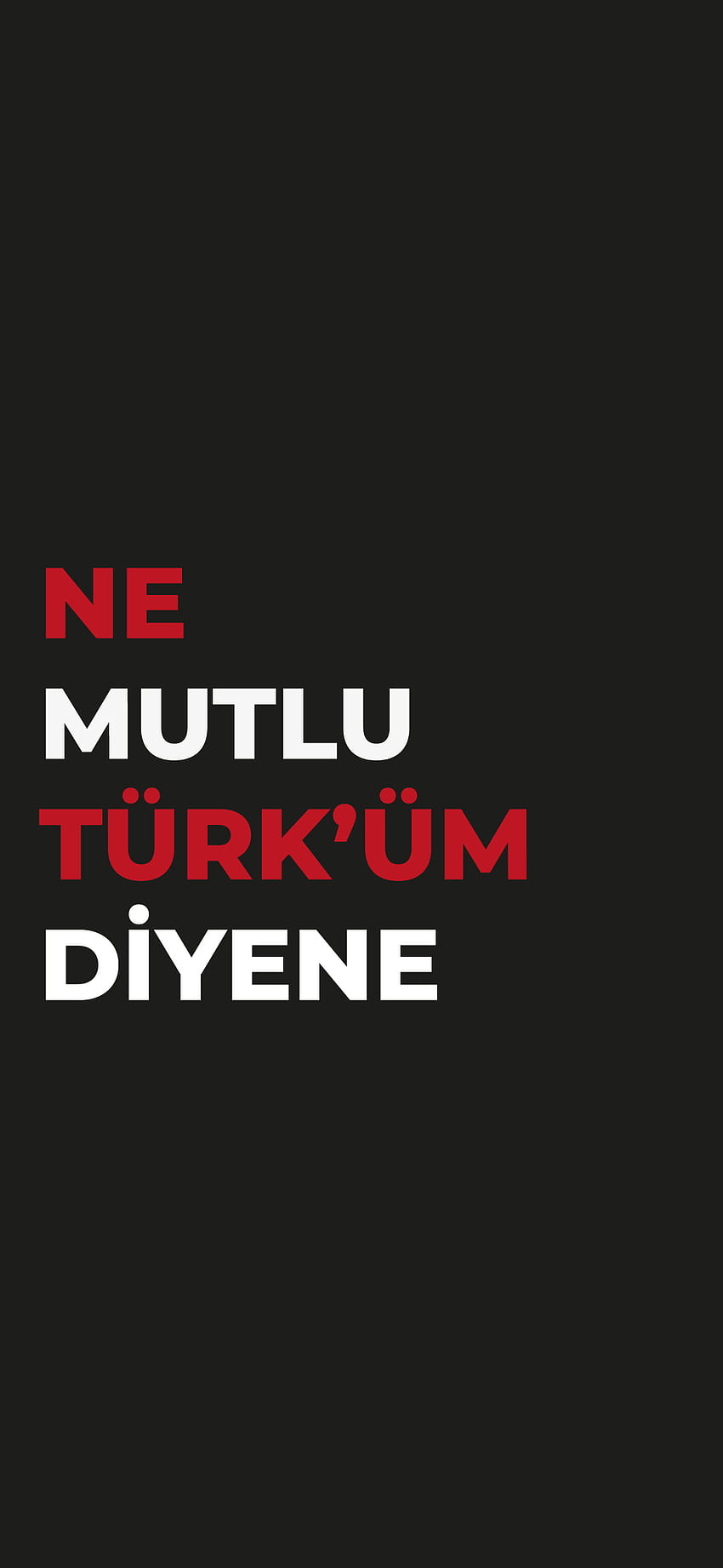 NE MUTLU TURKUM, Atatürk, Hcdnmezdesign, Bayrak, Diyene, Türke, Bozkurt HD-Handy-Hintergrundbild