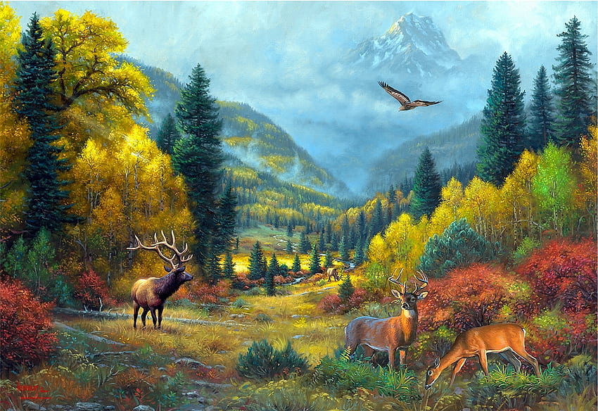 deer family, natur, deers, animals, deer HD wallpaper