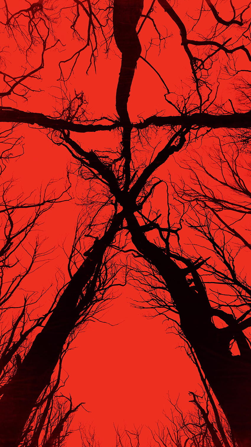 Blair Witch (2016) Phone, Witchy HD phone wallpaper