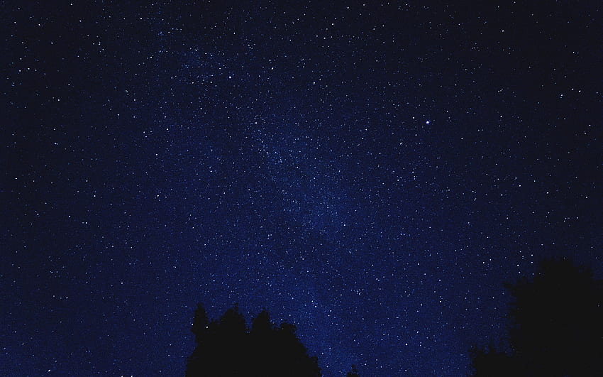 starry sky, shine, night, blue HD wallpaper