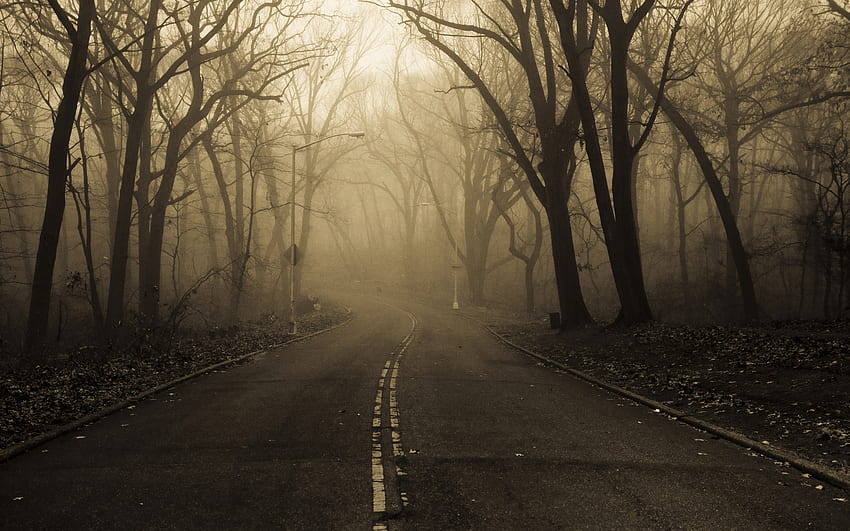 Landscapes nature roads trees forest fog mist haze dark spooky autumn fall seasons ., Scary Fog HD wallpaper