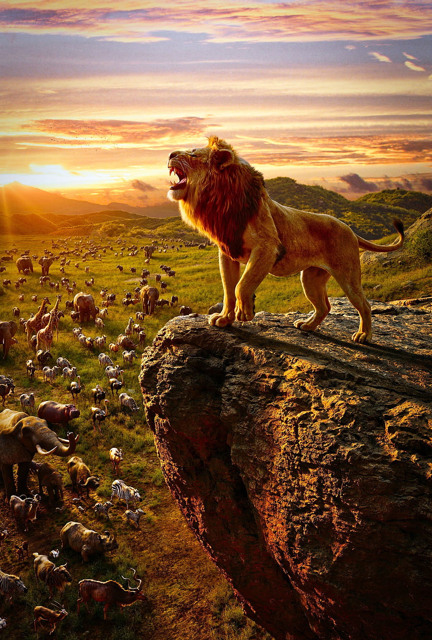 Mufasa Roar in Lion King Movie HD phone wallpaper | Pxfuel