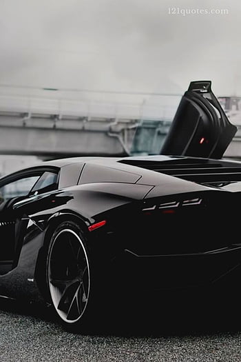 Cool Lamborghini for Mobile and, Black and White Lamborghini HD phone  wallpaper | Pxfuel