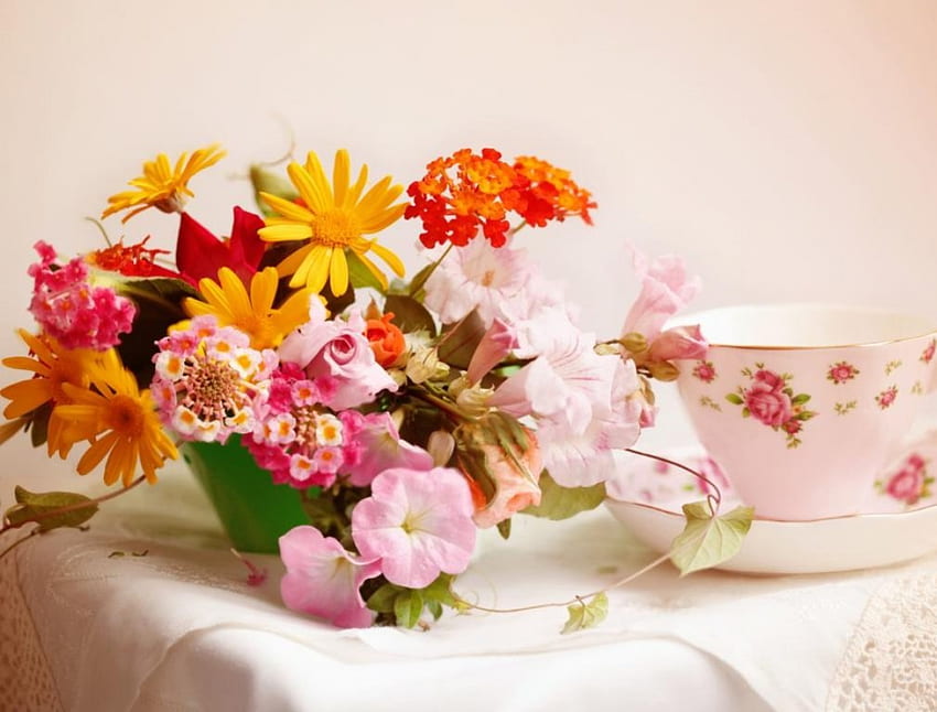 Śliczne kwiaty, miękkie, wiązka, piękne, filiżanka, delikatne, płatki, natura, kwiaty, kwitnie, śliczna Tapeta HD