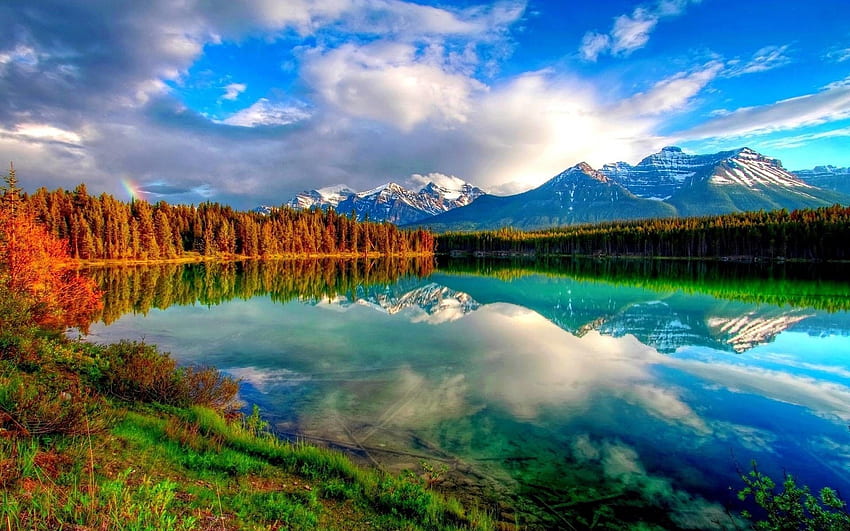 Scenery, June Nature HD wallpaper | Pxfuel