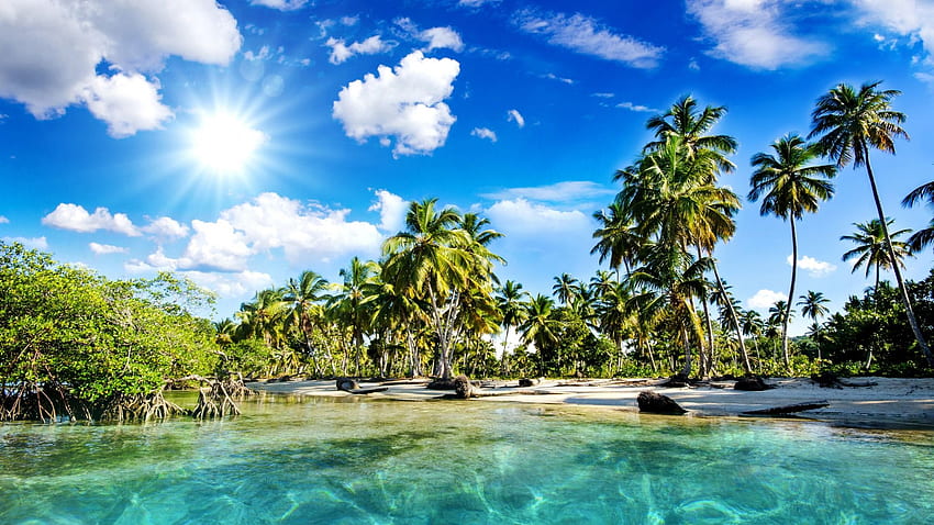 Разделителна способност на тропическия плаж - висока разделителна способност HD тапет