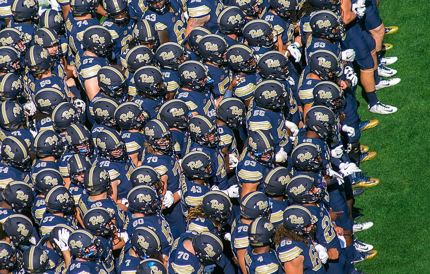 sport, American football, players, Pitt vs Penn State for , section спорт HD wallpaper