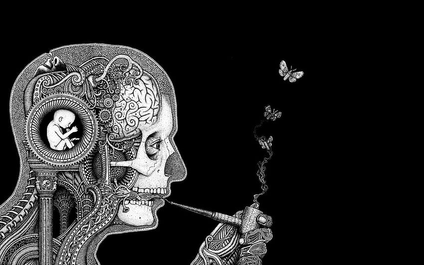 wajah, ilustrasi, kupu-kupu, otak, pipa, Rastafari, biologi, H R Giger, tubuh manusia, organ, seni psikedelik, organisme, penan medis. Mocah Wallpaper HD