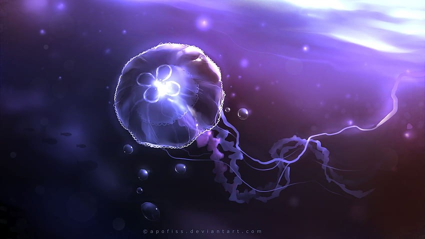 Animated Jellyfish HD wallpaper