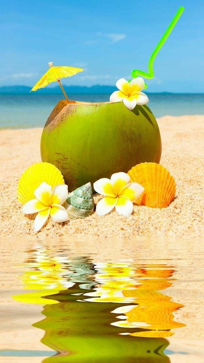 코코넛 칵테일 밀짚 종이 우산 소녀를위한 귀여운 꽃 조개 해변 모래. 귀여운, 귀여운 소녀, 여름, 귀여운 만나고 바다 HD 전화 배경 화면