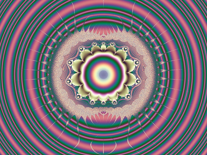 Pink circles, circles, pink, fractal, fractals HD wallpaper