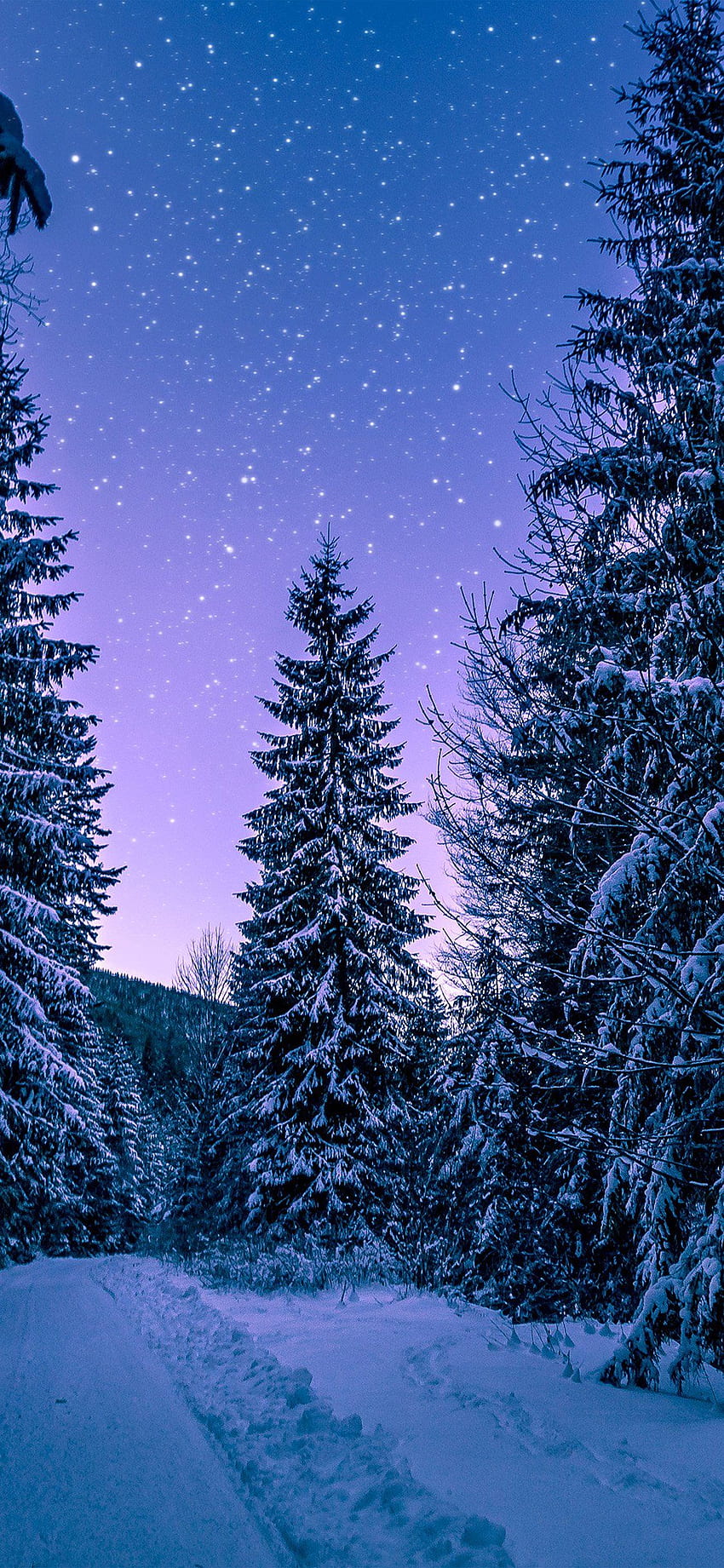 iPhoneX. neve inverno madeira árvore estrada noite natureza, Snowy Winter iPhone Papel de parede de celular HD