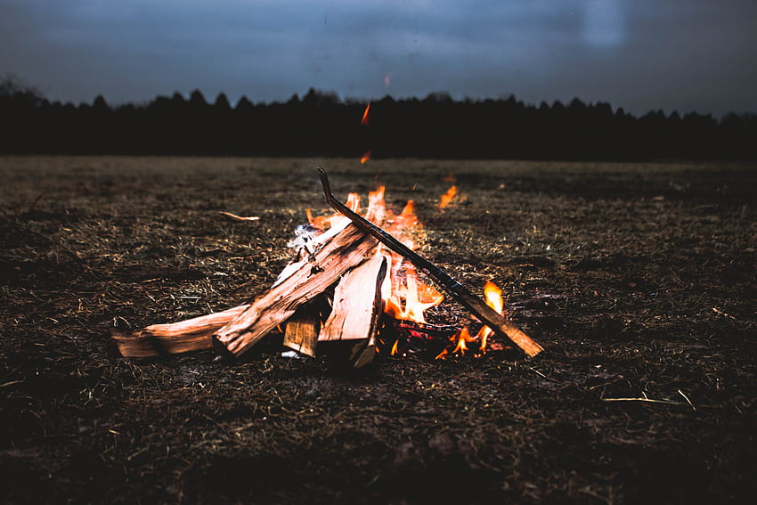 Ogień, ognisko, różne, różne, drewno opałowe Tapeta HD