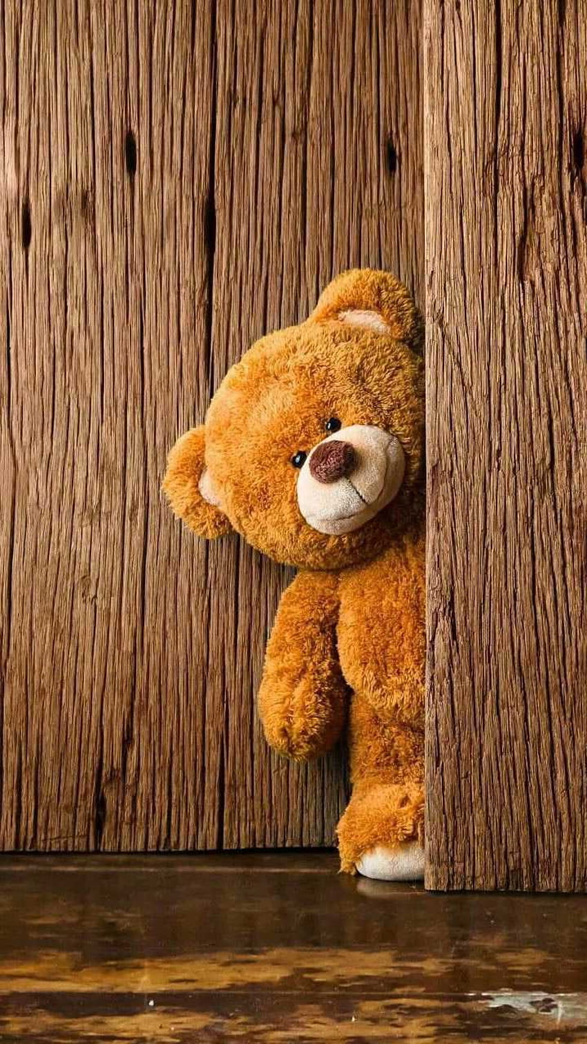 Teddy Bear - Müthiş HD telefon duvar kağıdı