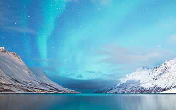 Arctic Wallpaper Images  Free Download on Freepik