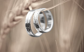 : dress, metal, couple, silver, jewellery, engagement, wedding ring