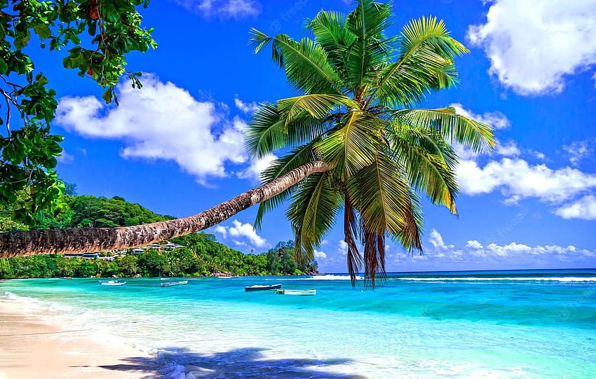 Spiaggia tropicale, isola, mare, palme, ombra, tropici, esotico, paradiso, vacanza, spiaggia, estate, riposo, sabbie, cielo, oceano Sfondo HD