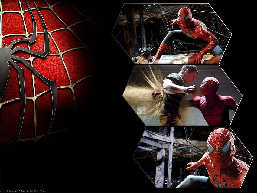 Spiderman - Peter Parker & Mary Jane Watson HD wallpaper | Pxfuel